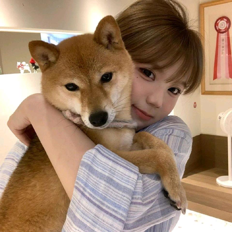 叫我上班别睡（见过张杰3次版）