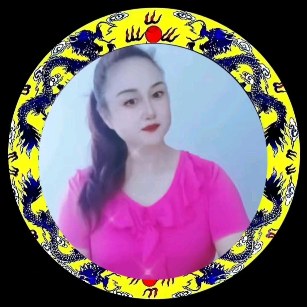 龍行⭐️雪儿飞飞(33)