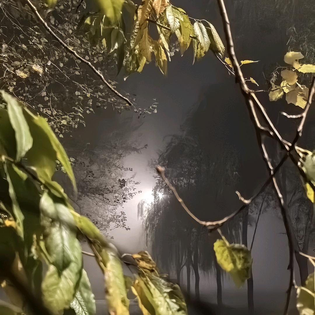 不想上班