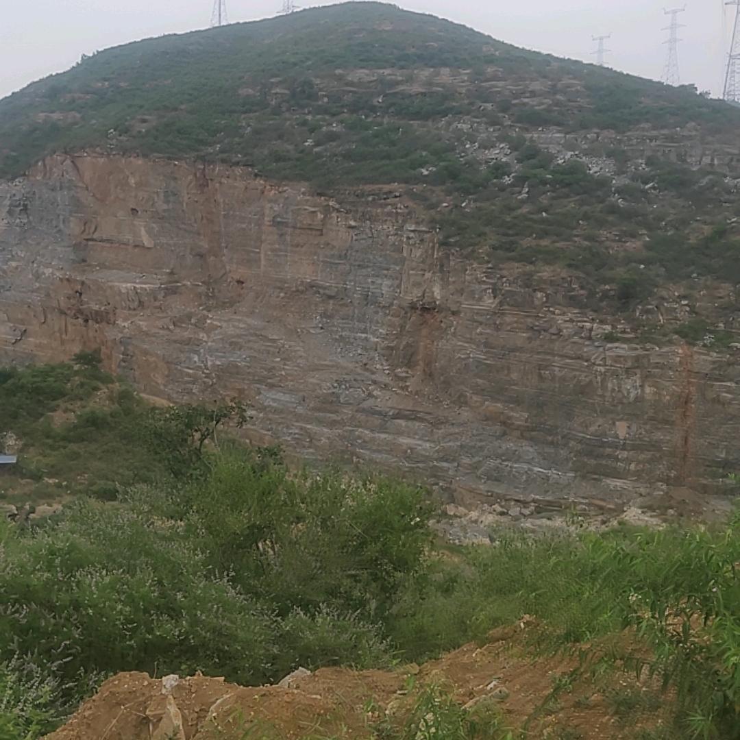 向往神鹰