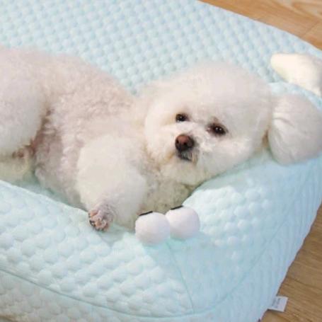 嗨心宠高端宠物窝严选