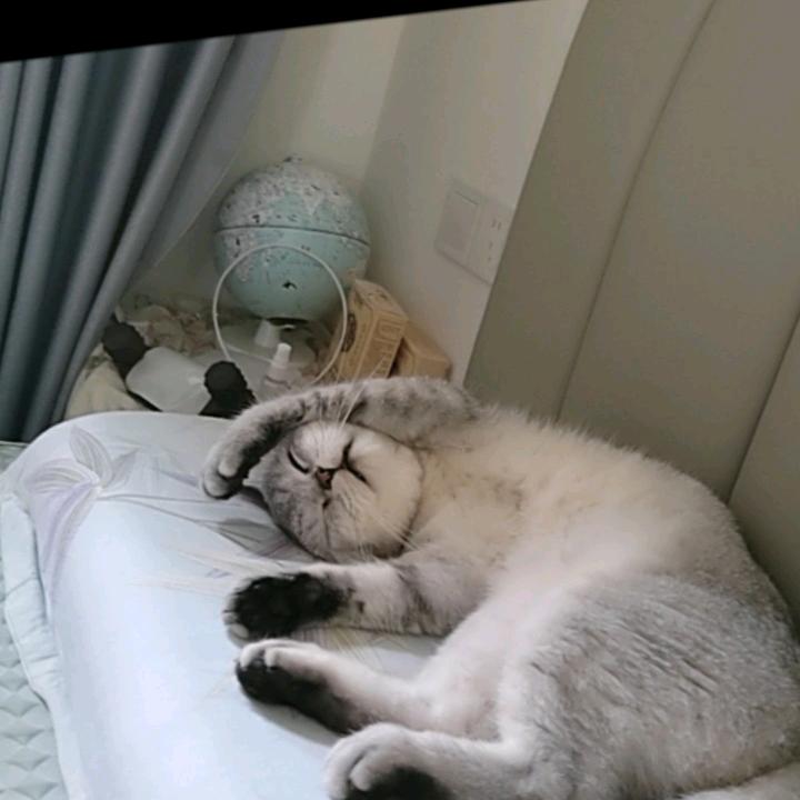 假装不在乎