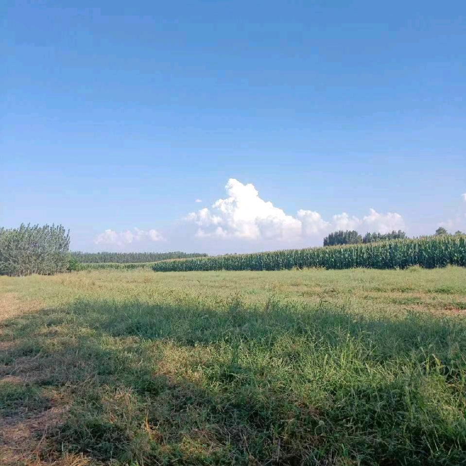 在吗老公7082381874159