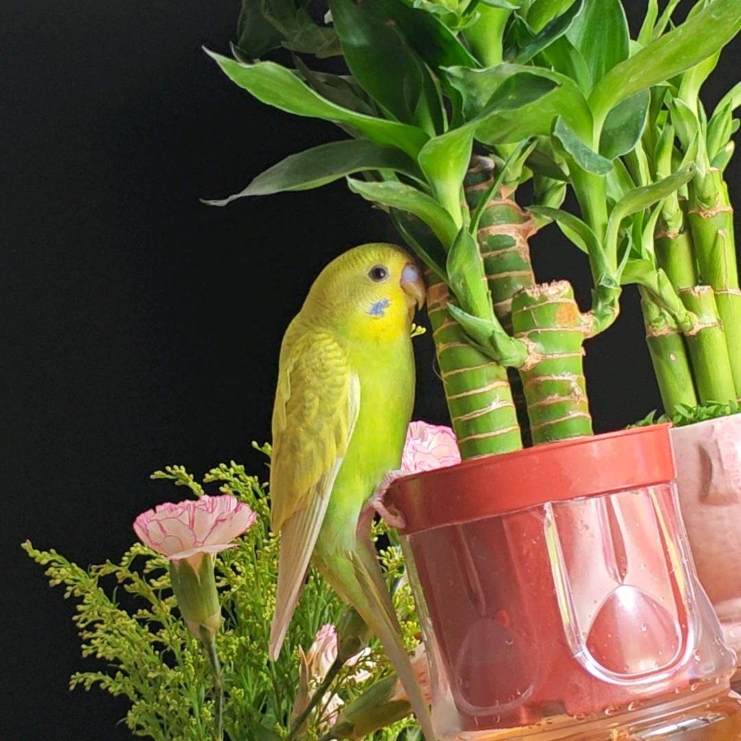 夏至：