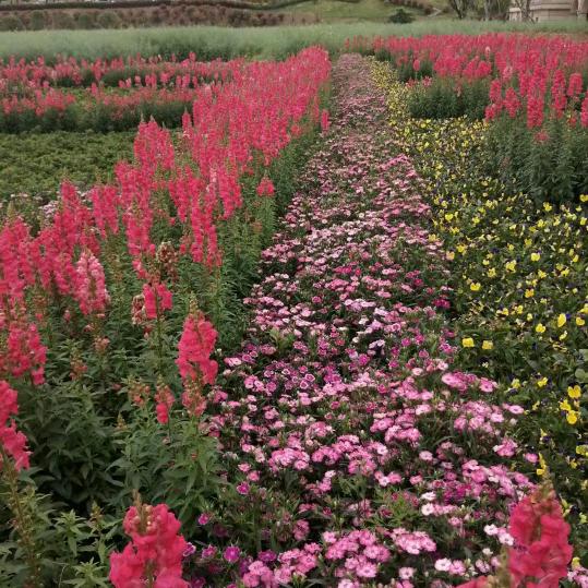 💐((🌺悠悠好物分享🌺))🌹💐