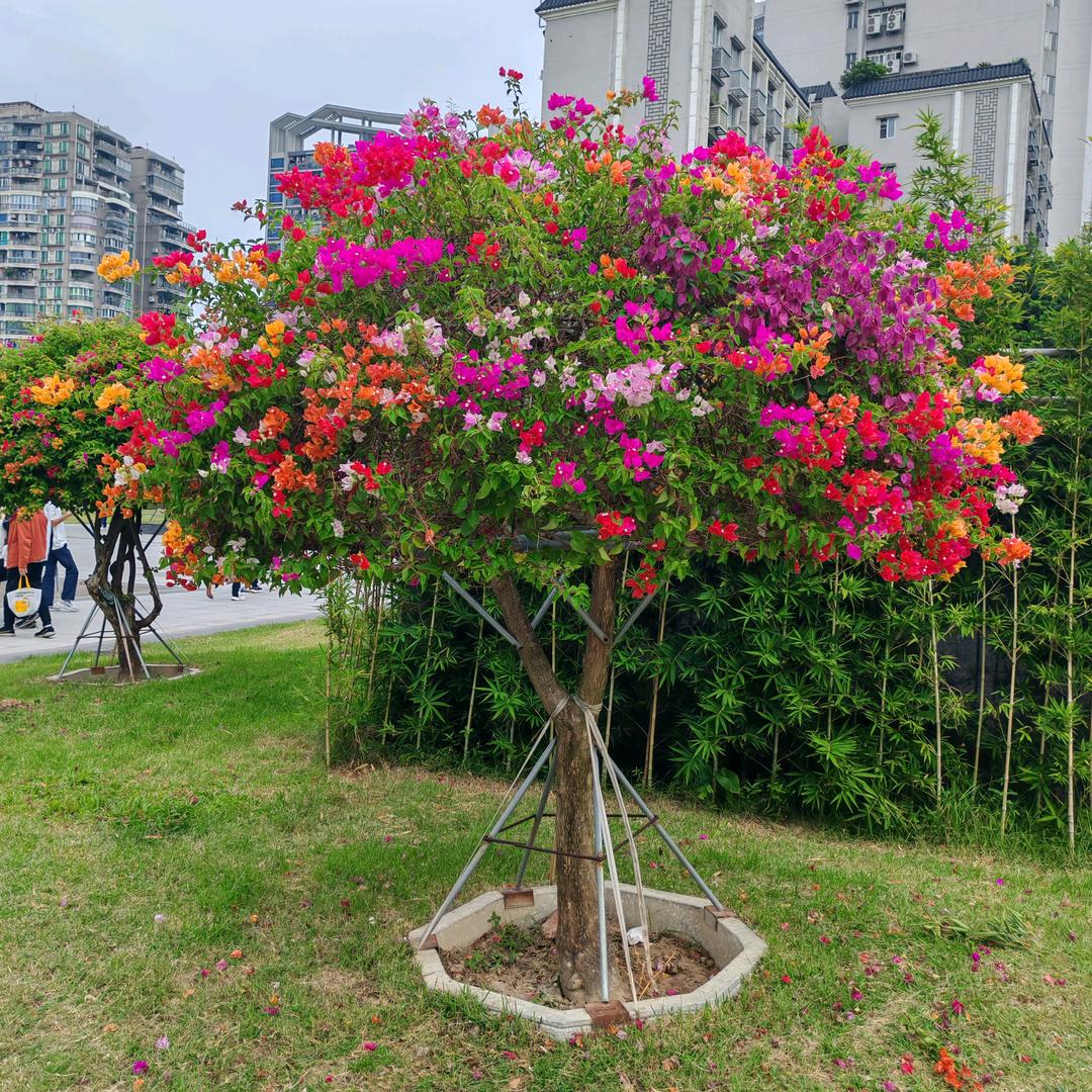 社工证考试学习分享