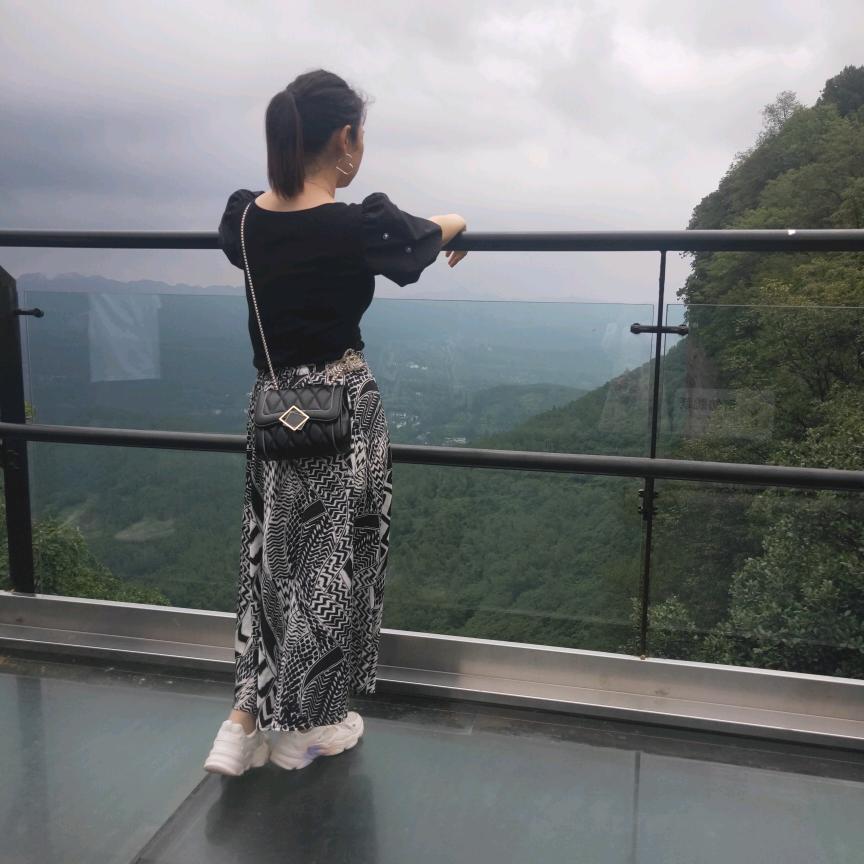 残翼の梦蝶