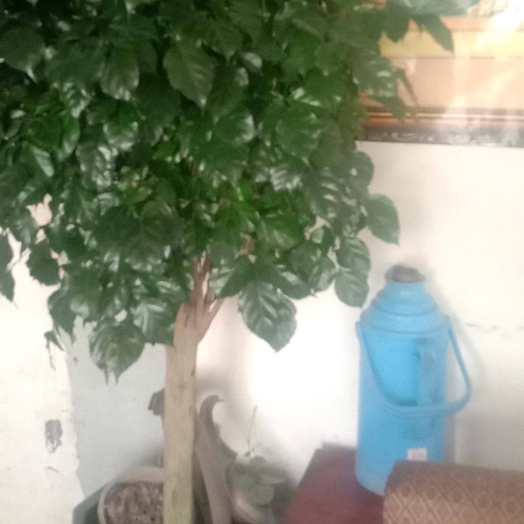 王春英（手工玉米煎饼）可代加工