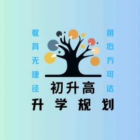 初升高升学规划