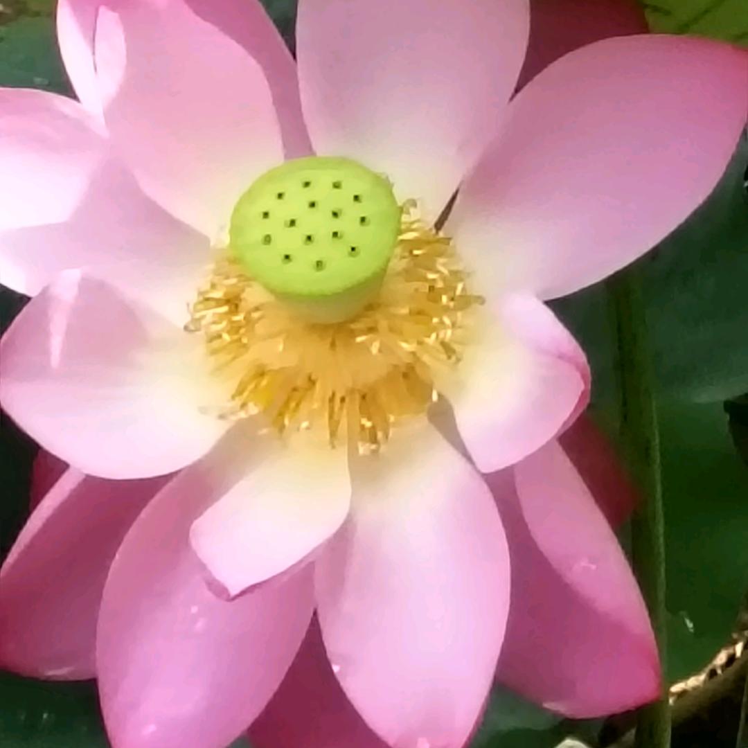 张建英，拒私聊！