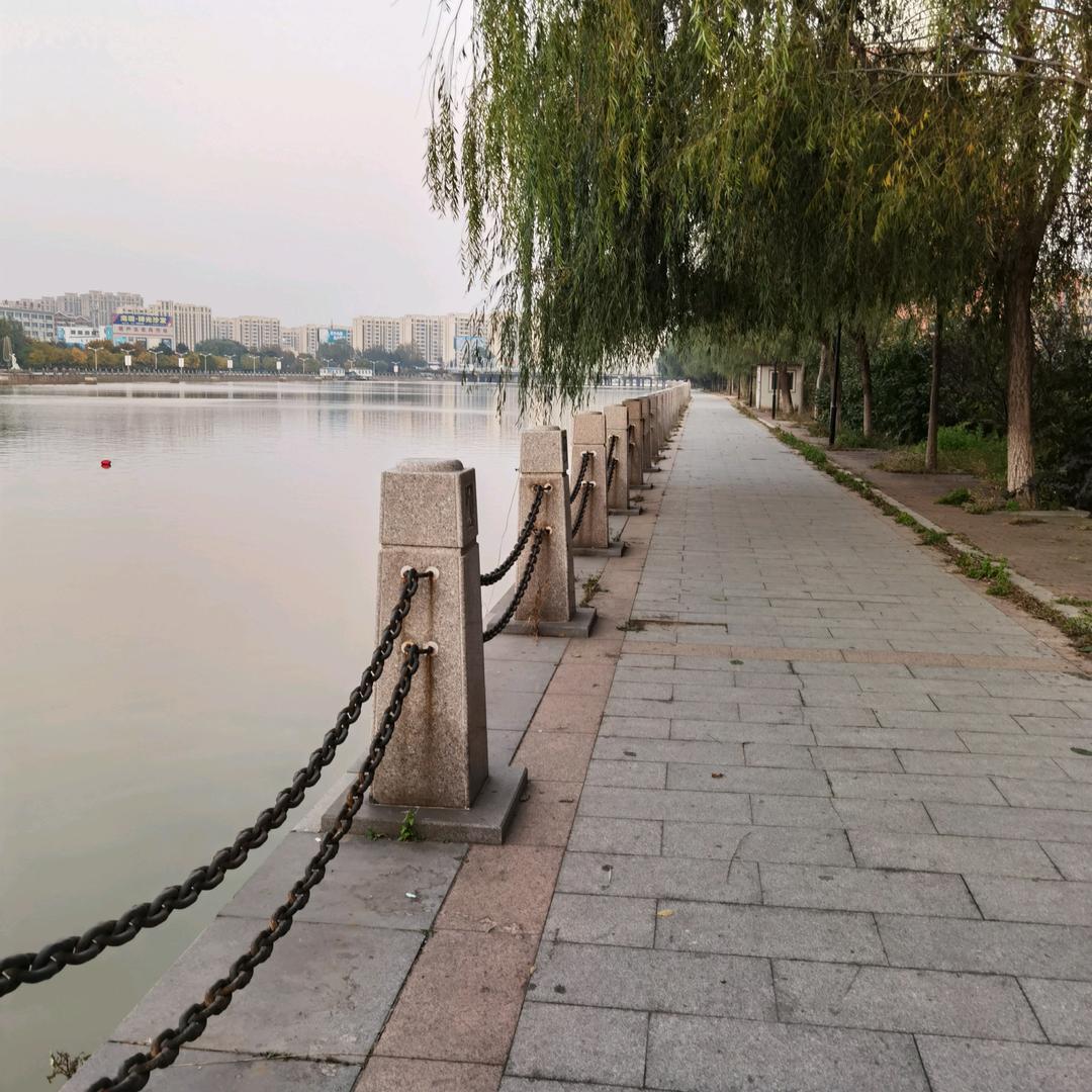 开心🐟🌸