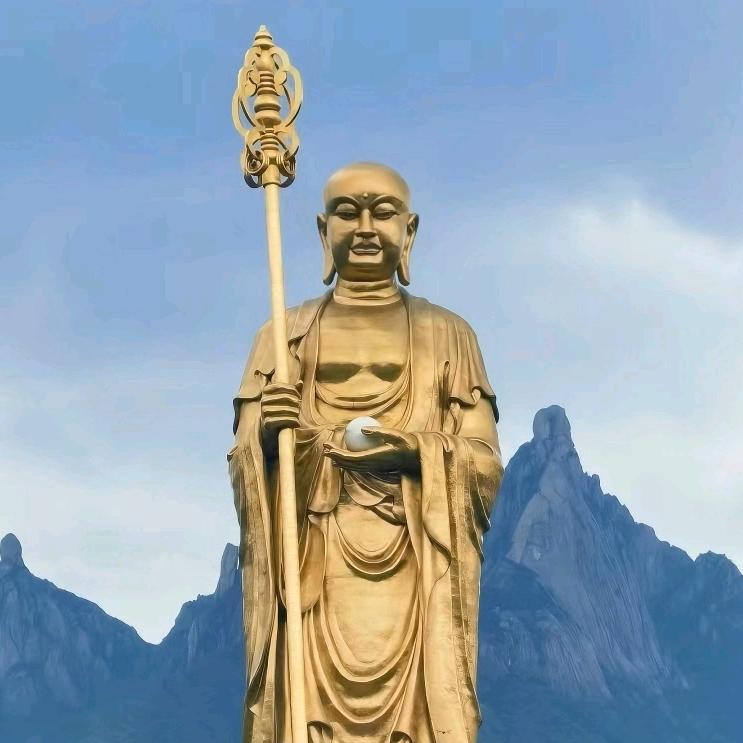 佛缘莲心