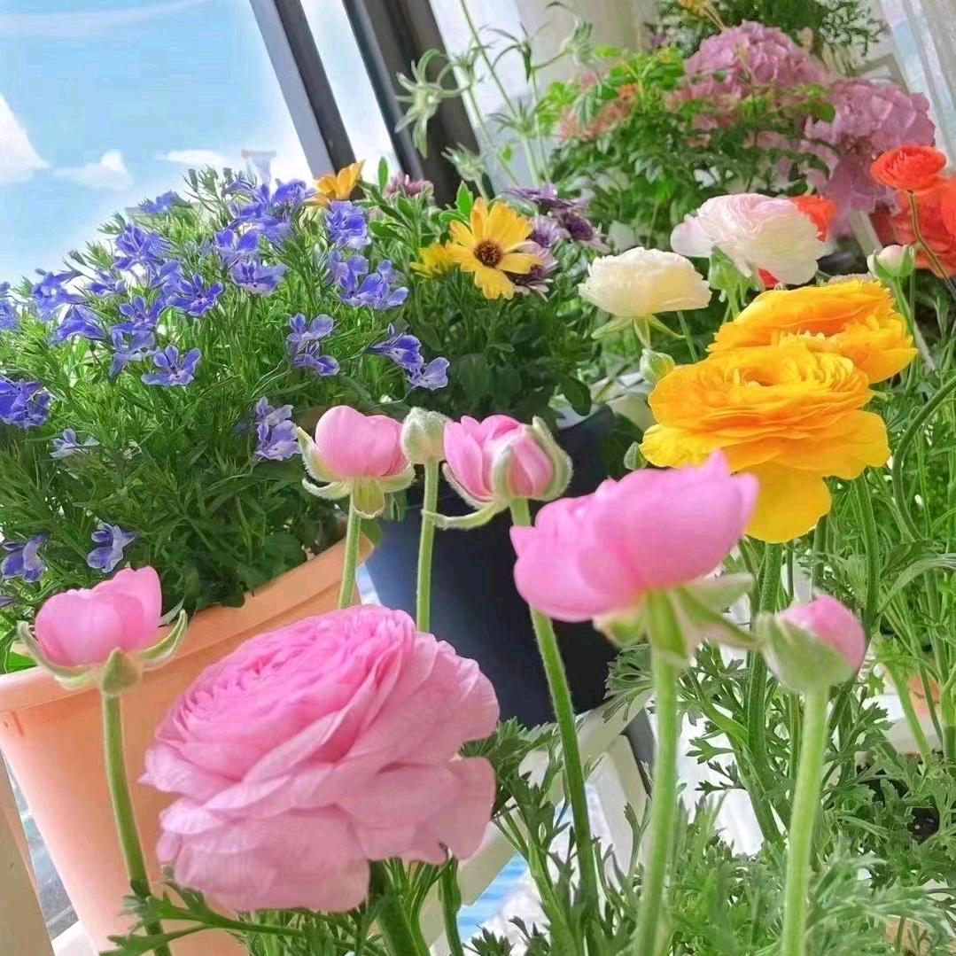 我若不坚强谁替我逞强