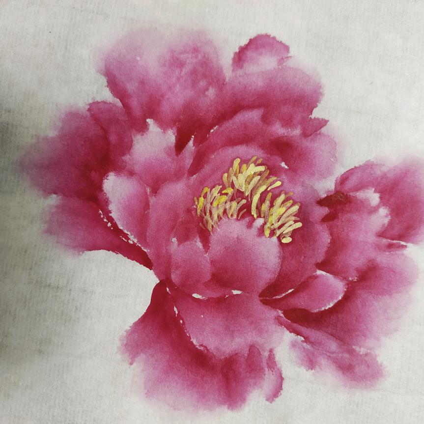 上善若水（8013）