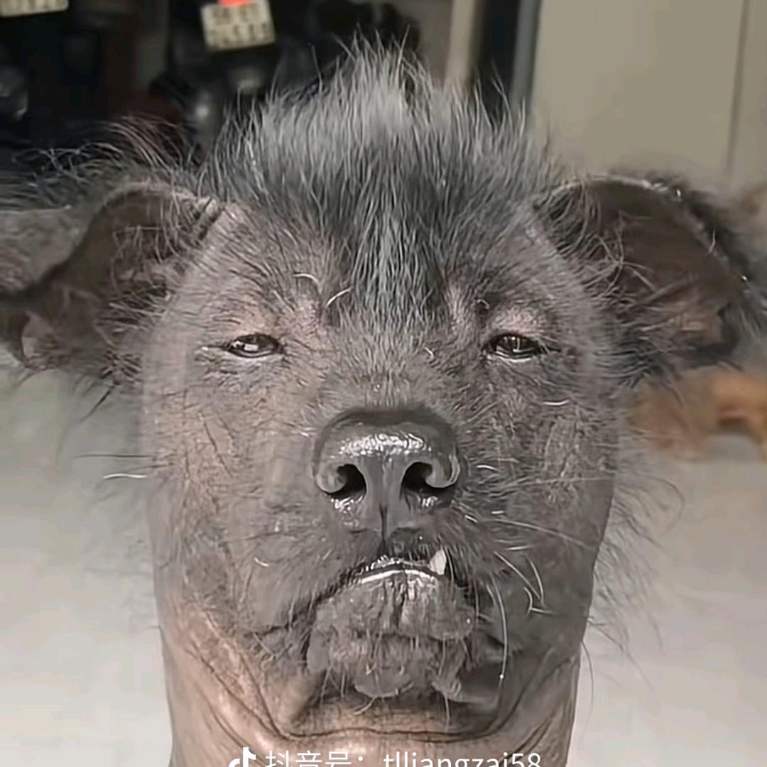 村夫