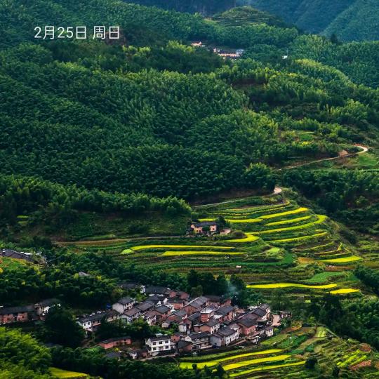 家庭农场
