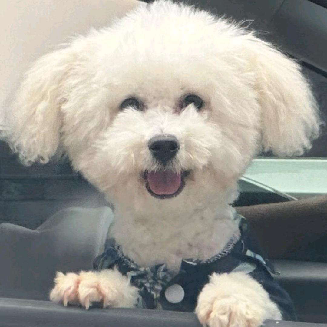 他往黑暗中去了
