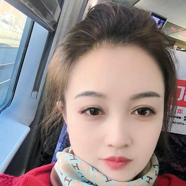 居家艺素布美特窗帘