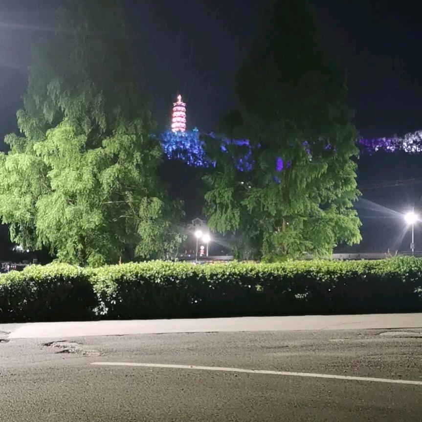 油条哥