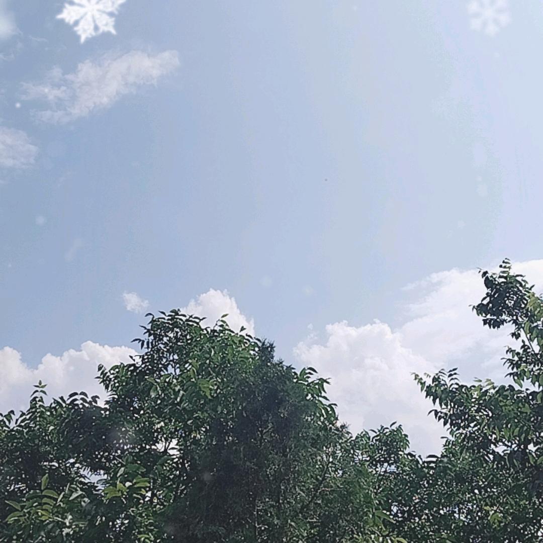 随遇而，安