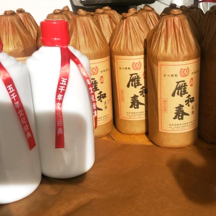 九州雁和春