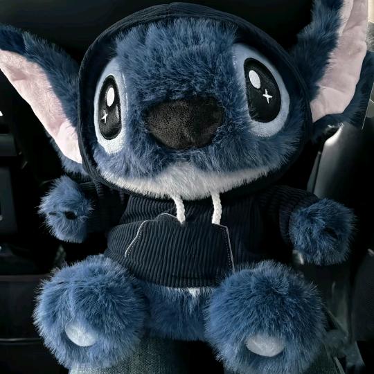 · StitCh ·