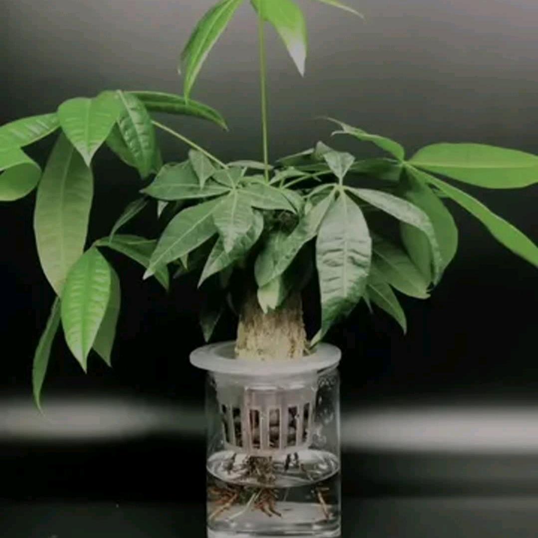 深科五金~瑞之蓝艾姐