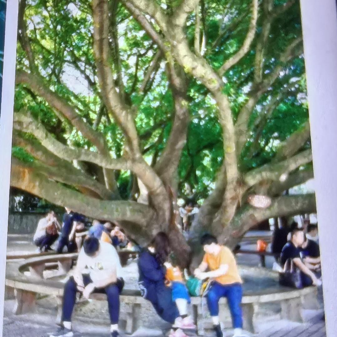 凡禾，，6106983346800