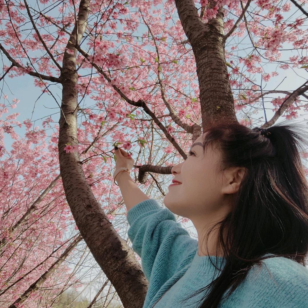 陌路花开（请勿连赞）