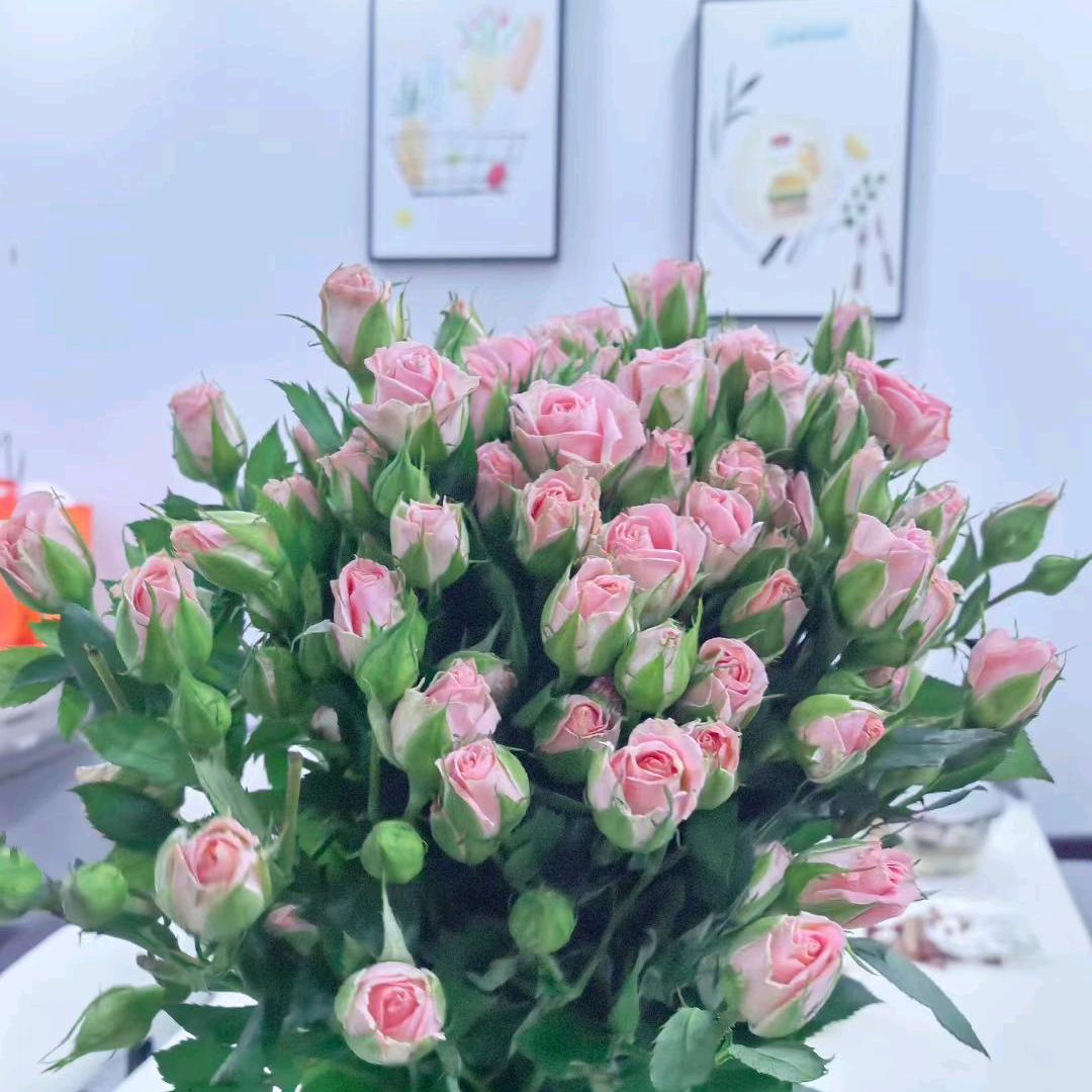 🕊༄℘⃝㞮孞࿐🍒