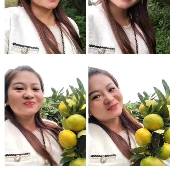 丹江口密橘产地代办小宋