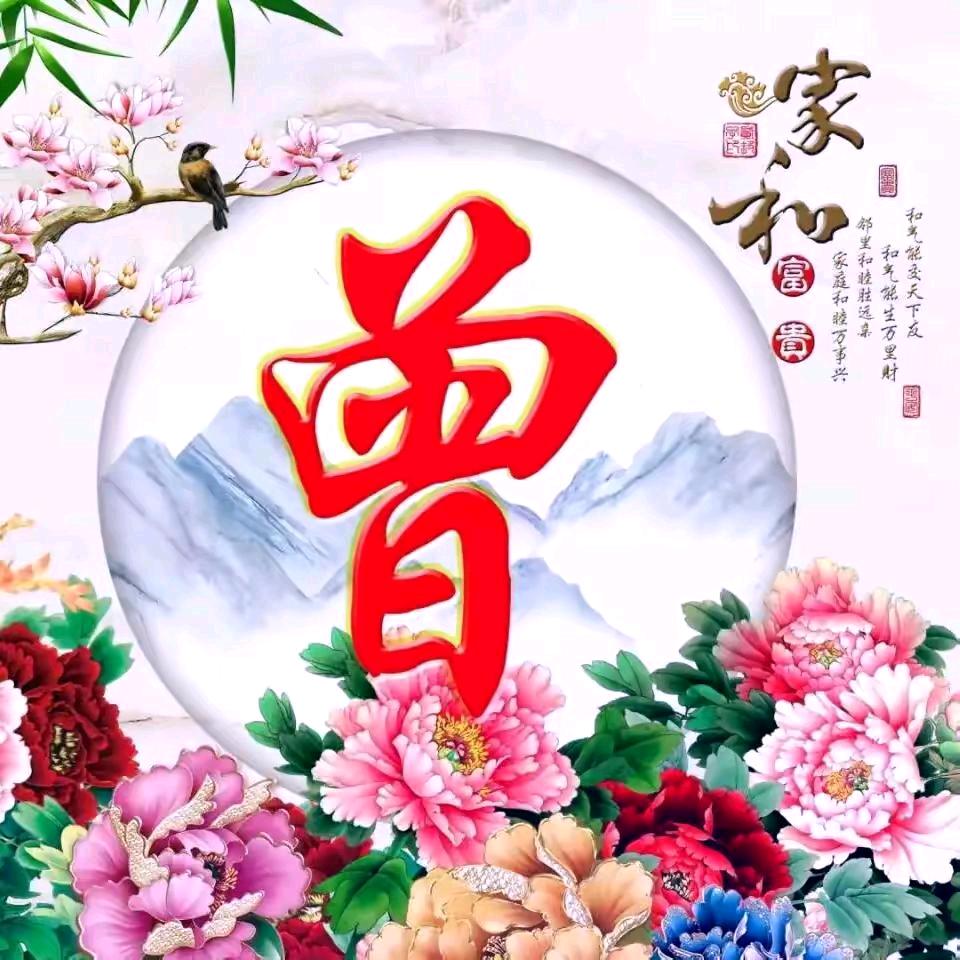 南妹子