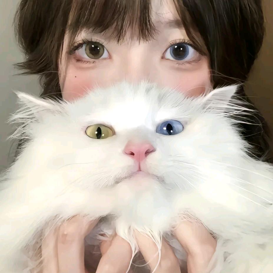 悬溺
