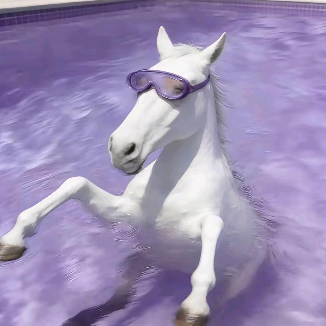 无情道天才的我穿到现代变成废柴