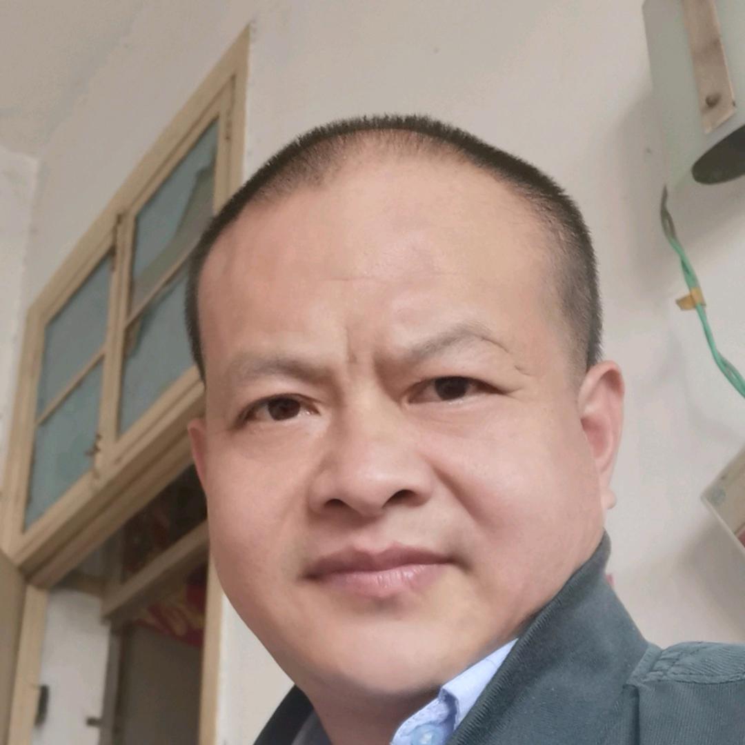 凤舞九天