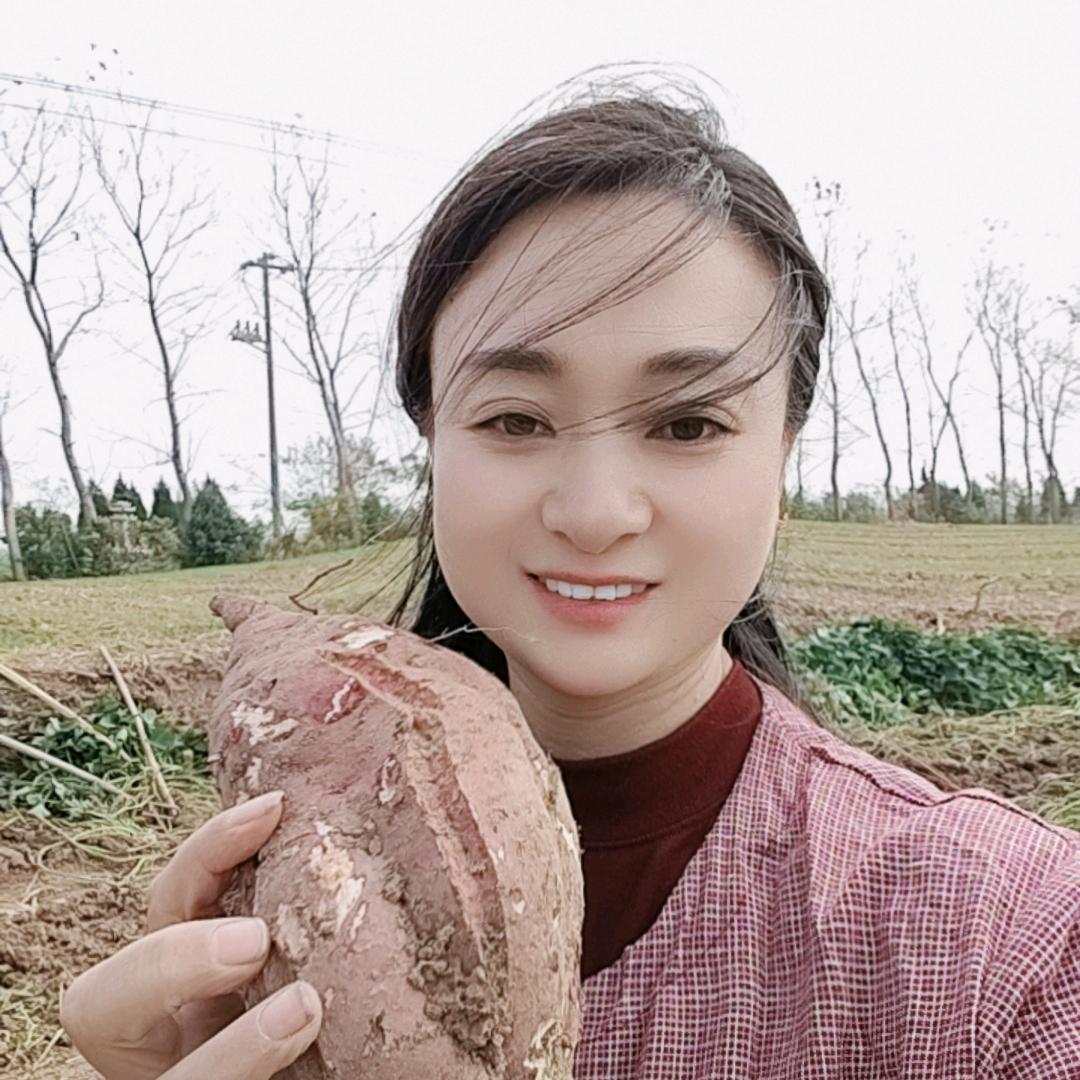 盐城红姐手工山芋粉丝
