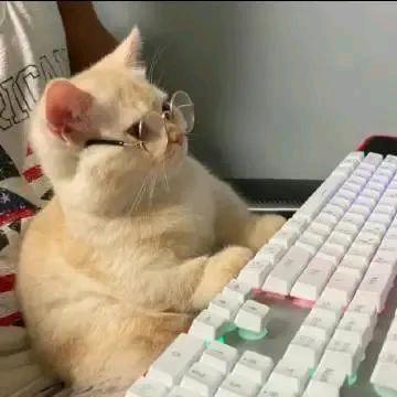 玖木.