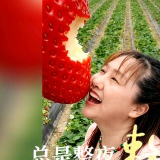 开心琼姐，忘记过去，保护自己