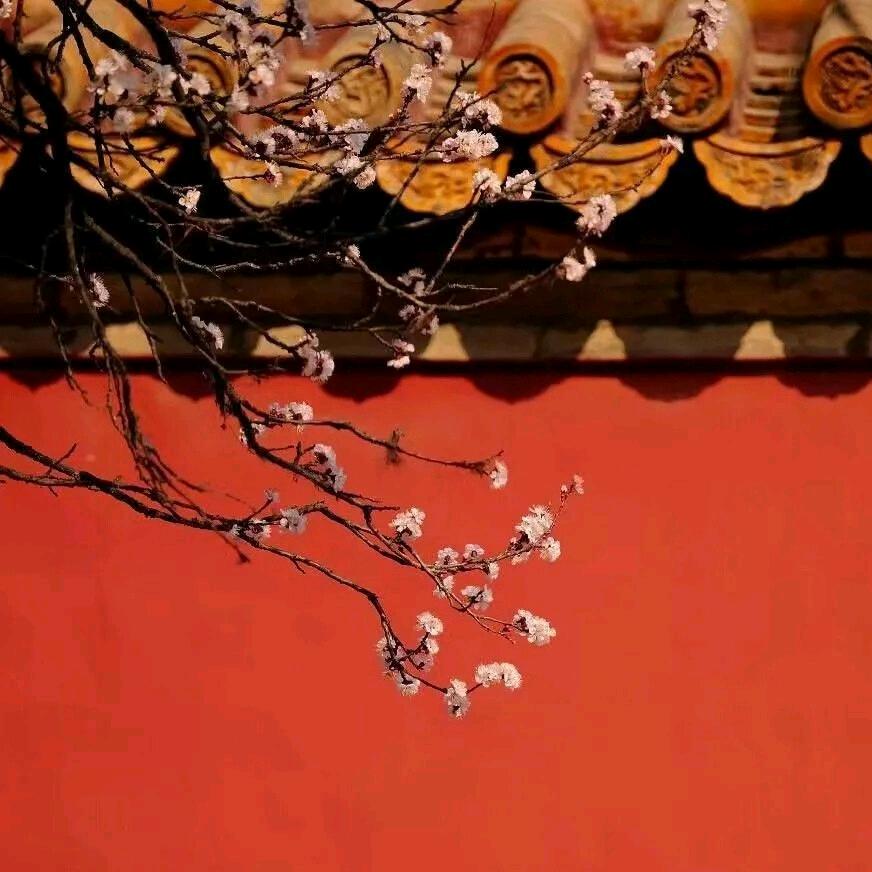 鲲鹏图南