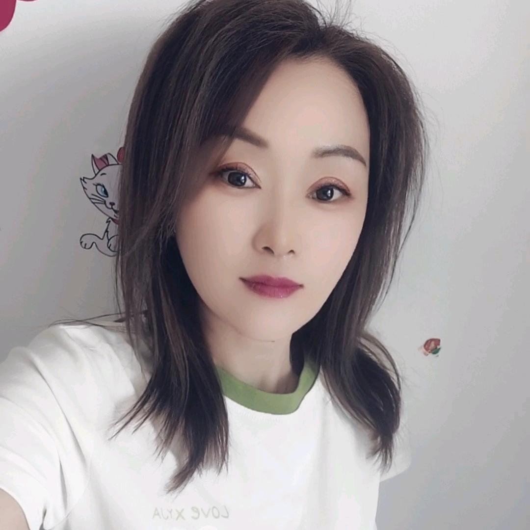 流浪的小野猫