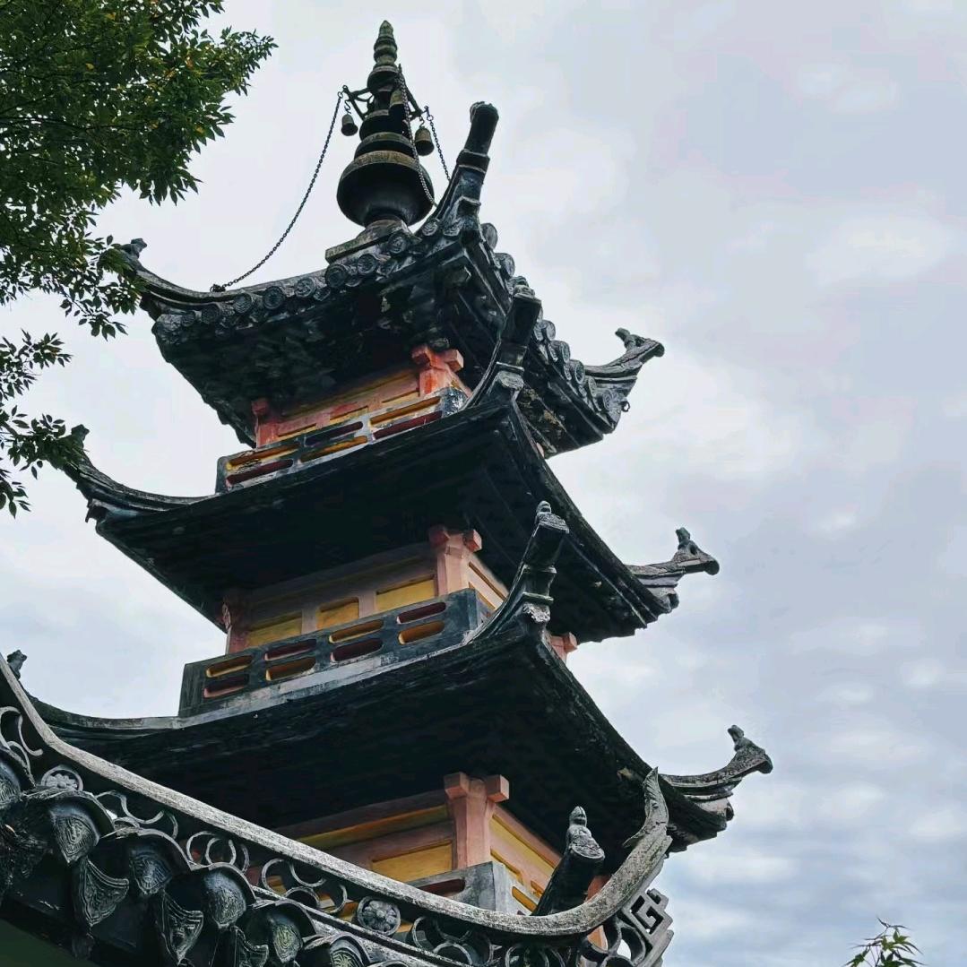 米糊糊