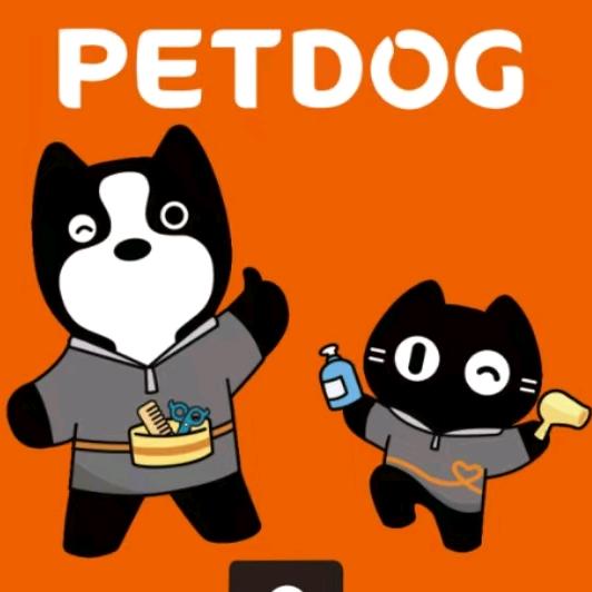 宠物美容培训沈阳校区