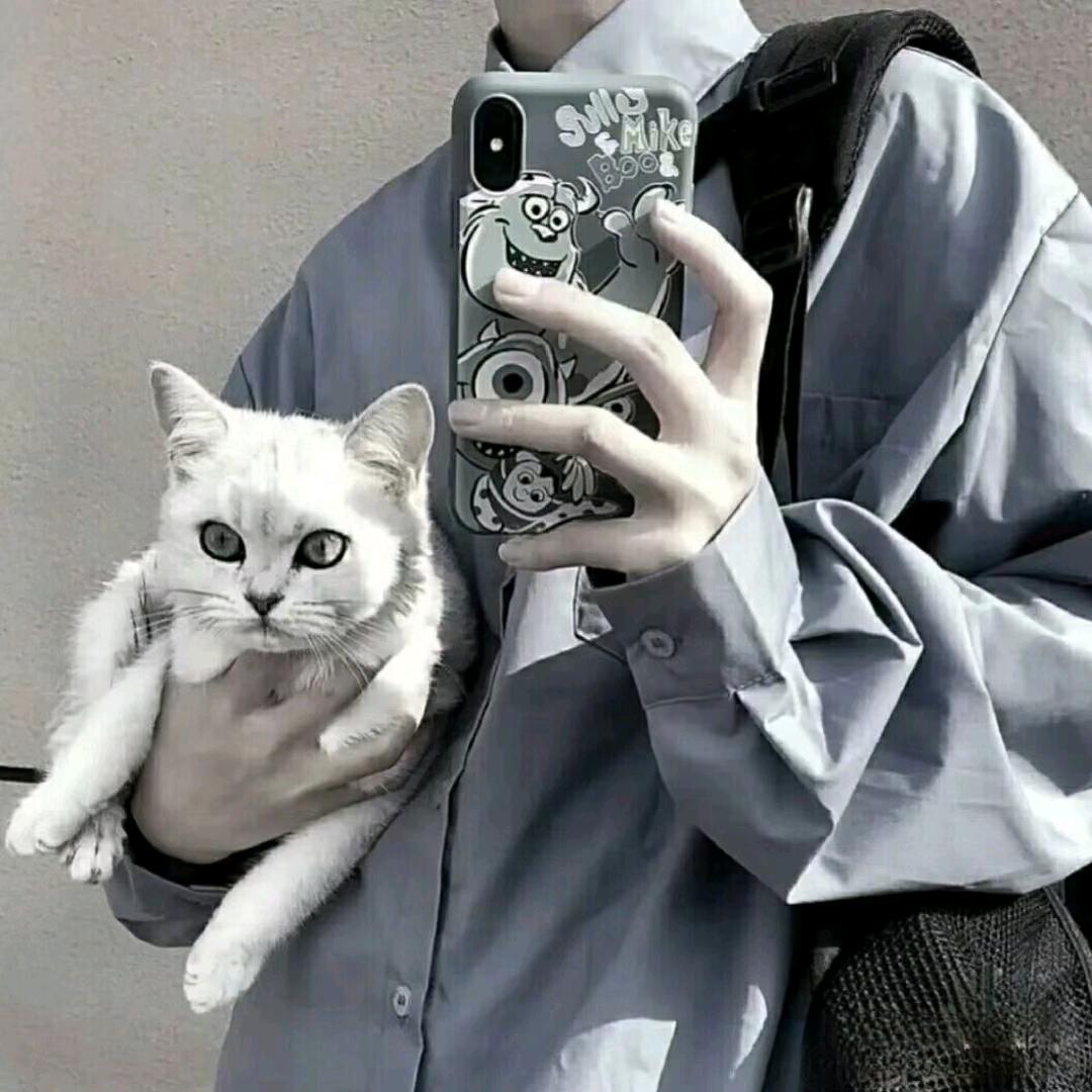 逍遥【王者荣耀】