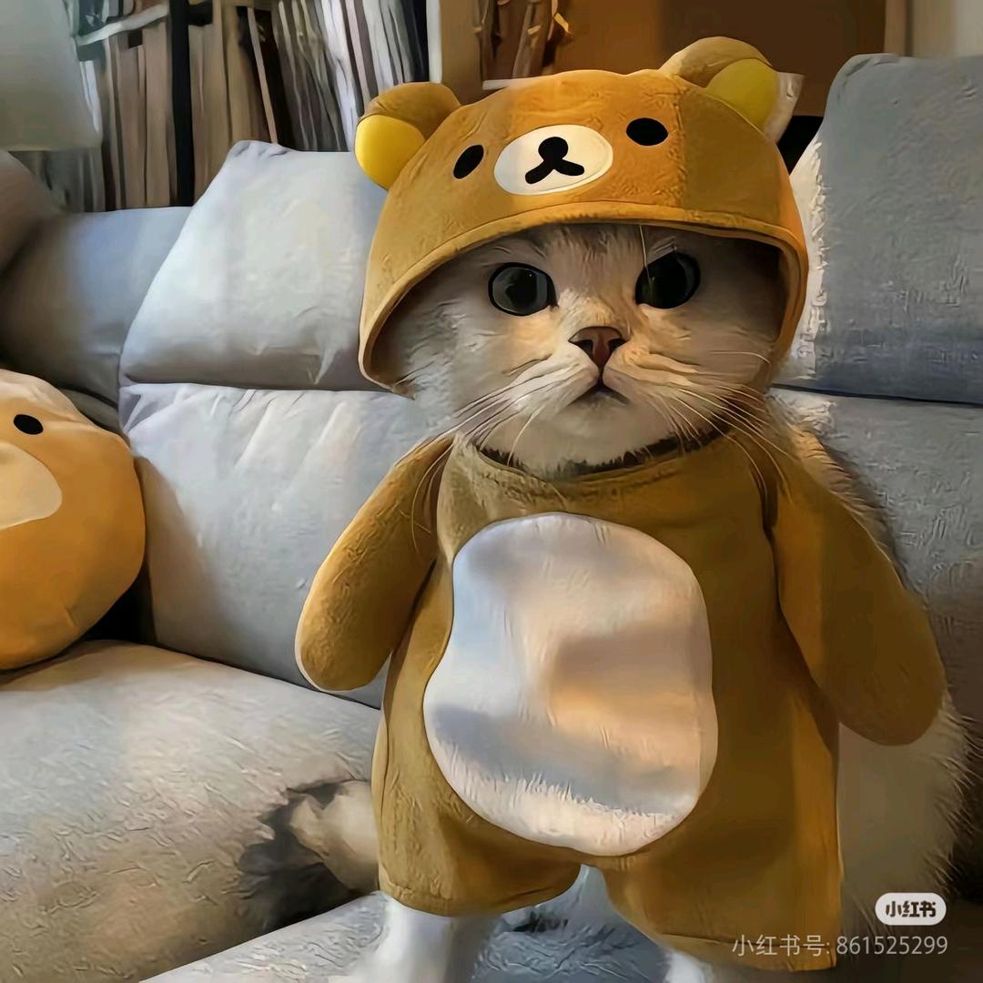 5555