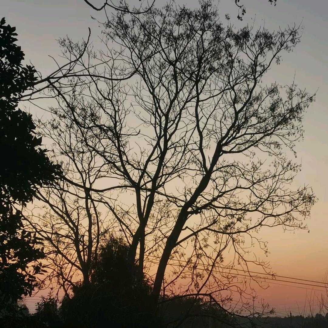 (*Ӧ)σ怼他 雨乐