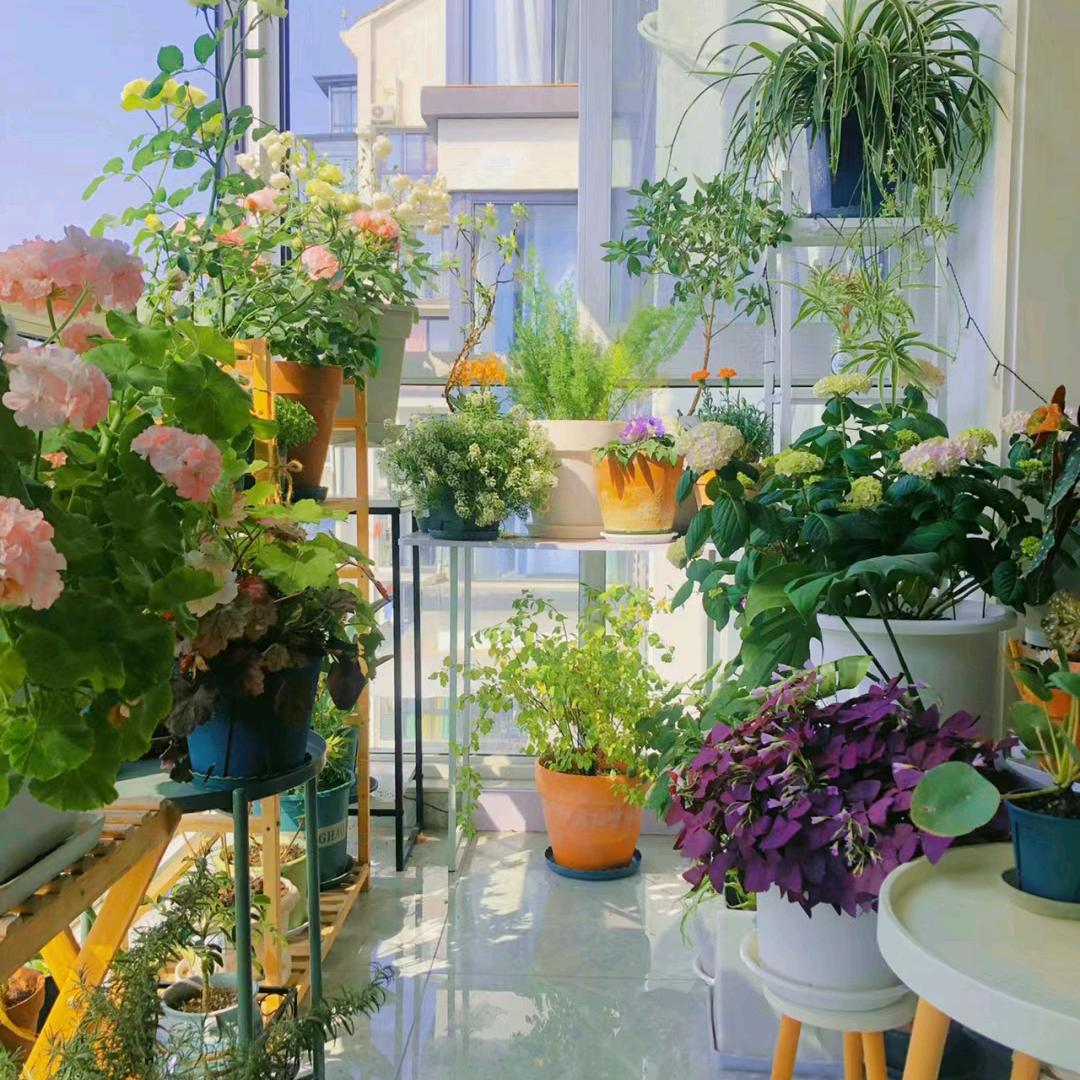 绿意花情园艺