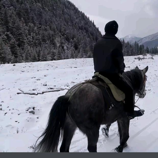 陈平安.