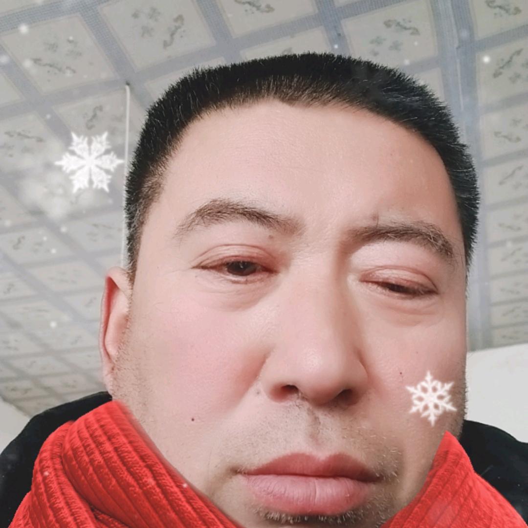 养殖牛和羊