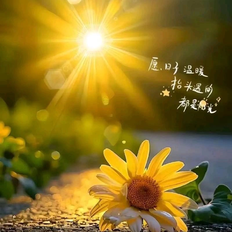天骄