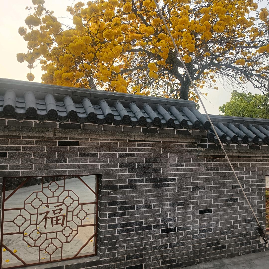 绿水青山